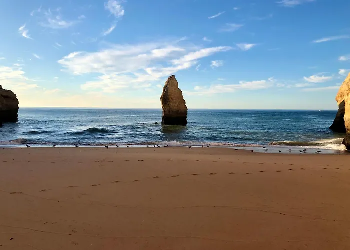 度假居 Casa Girassol 卡武埃鲁